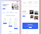 design and develop a professional wordpress website