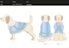 sketch professional technical drawing for dogs and cats
