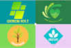 design creative logo in 1 hour