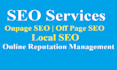 be your website manager and provide monthly SEO services