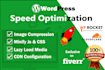 do speed optimization with gtmetrix pagespeed in 12hr