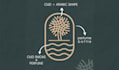 create an amazing logo