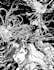 draw a fantastic illustration for you