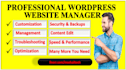 manage, maintain, keep your wordpress website updated and edit it