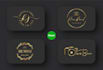 design script, photography, luxury signature logo