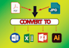 do PDF conversion in 24 hours