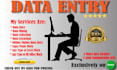 provide data entry content writing  exel web writing