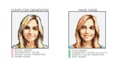 make mosaic and pixel art wall portrait using lego bricks