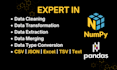 do excel data cleaning, data wrangling, data visualization in python