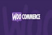 build an ecommerce store using shopify, woocommerce and others