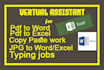 data entry and copy paste job