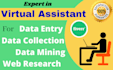 do data entry, web scrapping, email list, data mining