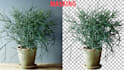photoshop photo editing, retouching, background removal