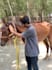 write the well researched veterinary articles and veterinary blogs as a vet