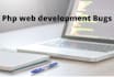 do PHP, mysql, javascript development, or bug fixes