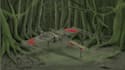 draw your fantasy landscape