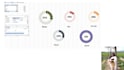 do interactive analytical dashboards, graphs with ms excel