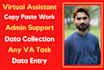 be your personal administrative virtual assistant data entry