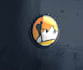design your logo to its maximum perfection
