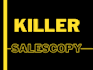 write eyecatching sales page copy