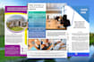 do professional business flyer design, real estate flyer
