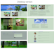 develop a responsive website using bootstrap framework