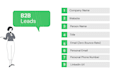 do 200 b2b leads within 8 hours