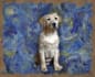make van gogh style oil painting portrait for you