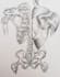 draw a scientific and biological drawing