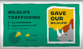 create impactful animation stories for public awareness