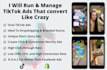 run and manage tiktok ads that convert like crazy