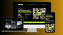 do wordpress website development, website design or redesign website