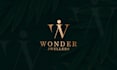 design a modern minimalist or luxury logo for your business