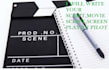 be your professional scriptwriter