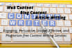 write engaging blog posts, web content, and articles