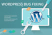 troubleshoot your wordpress website, edit wordpress website