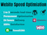optimize, boost up your wordpress website page speed