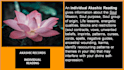 give you an akashic reading and identify abundance blocks