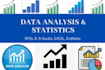 do statistical data analysis and structural equation modeling