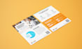 design professional flyer or one pager for you