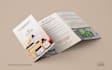 design business card, brochure, roll up banner, letterhead
