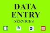 freelance data entry work in low price