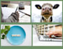 write your vegan content and copy