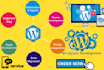 be wordpress developer do wordpress customization and wordpress plugin