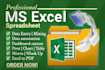 enter excel data, fix macros, vba,  pivot, chart, formula