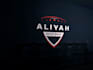 do modern minimalist logo design with copyrights