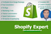 create one product shopify store, dropshipping website