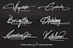 design luxury handwriting, scripted, signature, cursive, handwritten logo