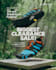 design eye catching social media posts reels covers and ad creatives