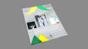 create a professional flyer